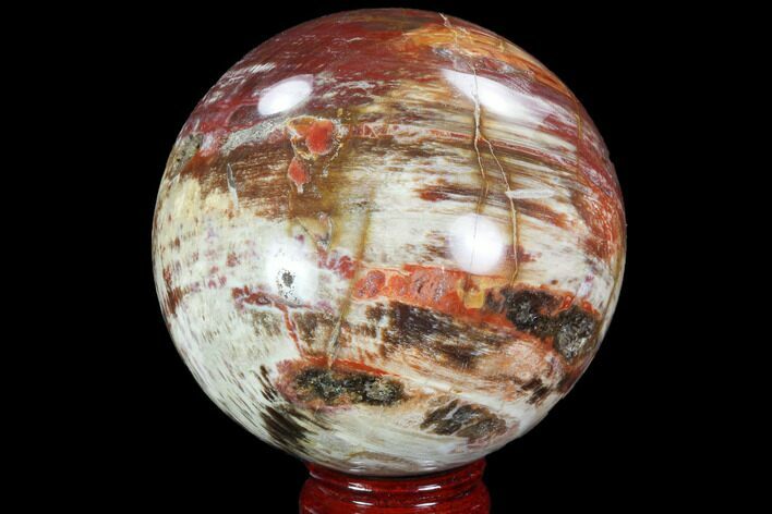 Colorful, Petrified Wood Sphere - Madagascar #98461